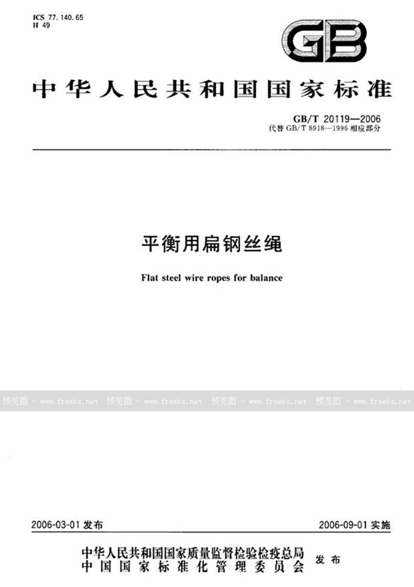 GB/T 20119-2006 平衡用扁钢丝绳
