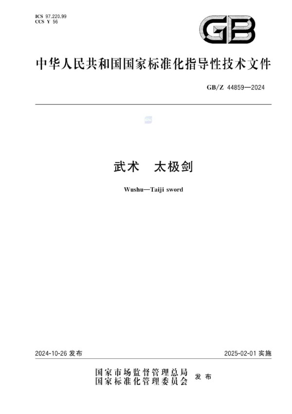 GB/Z 44859-2024 武术 太极剑