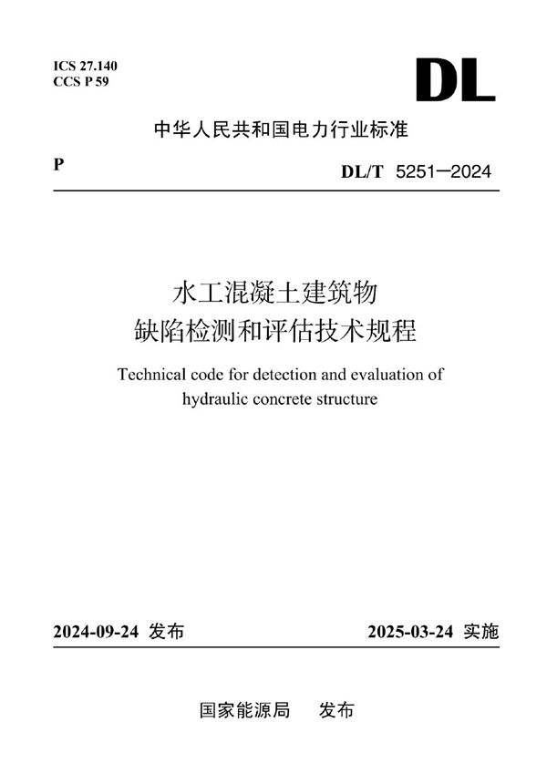 DL/T 5251-2024 水工混凝土建筑物缺陷检测和评估技术规程