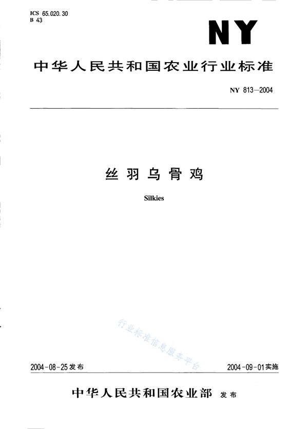 NY 813-2004 丝羽乌骨鸡