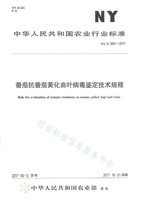 NY/T 3081-2017 番茄抗番茄黄化曲叶病毒鉴定技术规程