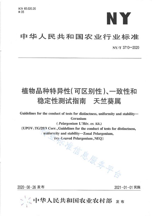 NY/T 3710-2020 植物品种特异性（可区别性）、一致性和稳定性测试指南天竺葵属