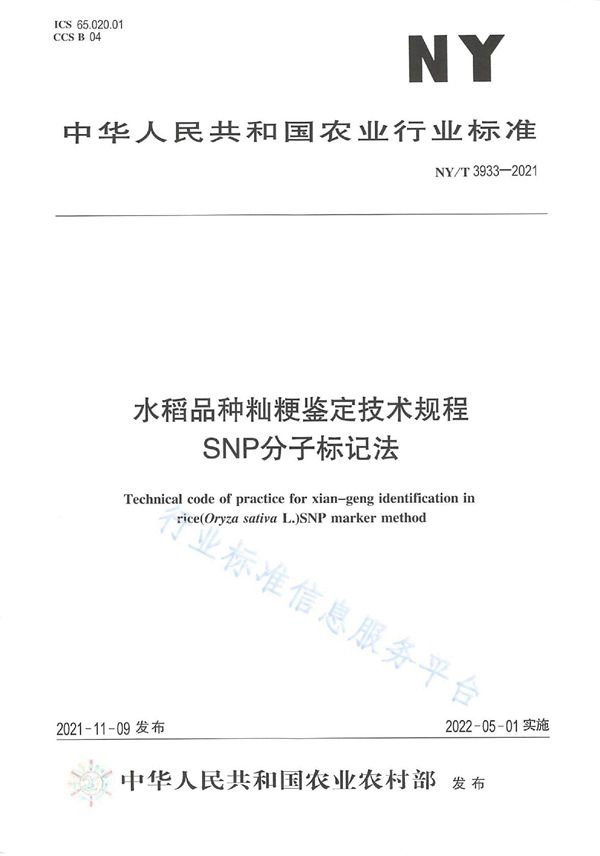 NY/T 3933-2021 水稻品种籼粳鉴定技术规程 SNP分子标记法