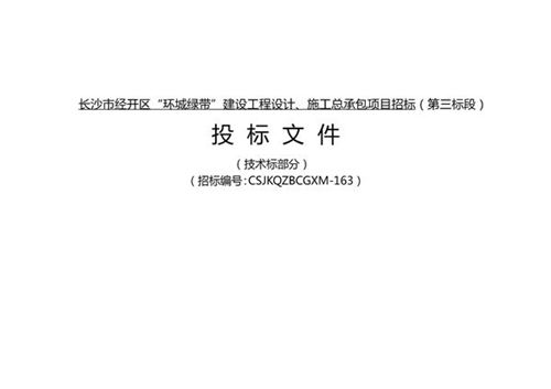 长沙市经开区环城绿带建设工程设计 施工项目 95页