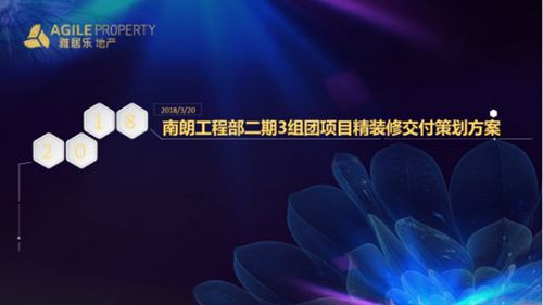 住宅楼项目精装修交付策划方案，46页PPT