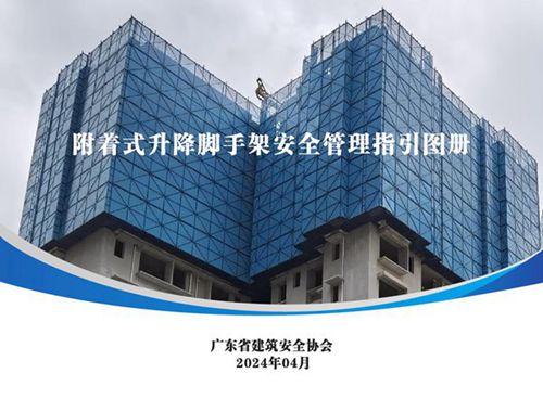 三维画册官方发布附着式升降脚手架安全管理指引图册(163张高清大图 说明)，总工看了都说好54页