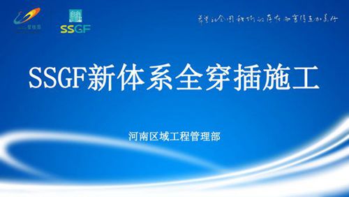 新体系全穿插施工培训