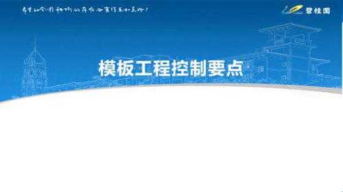 知名房企盘扣脚手架 楼板 墙柱加固等八大模板支撑体系施工控制要点，示意图我给满分46页PPT