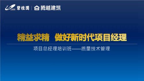 项目经理质量技术工作指南：住建部质量安全十项规定解读与职责管理要点