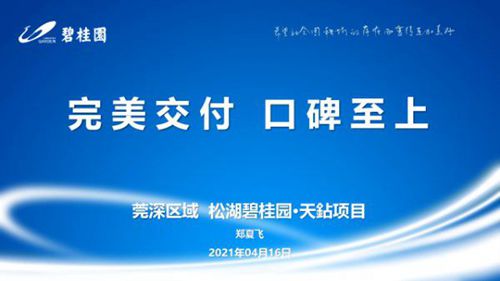 碧桂园精装项目交付获业主盛赞，大型装修住宅完美交付经验揭秘
