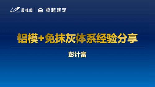 地产集团铝模免抹灰施工经验分享PDF下载