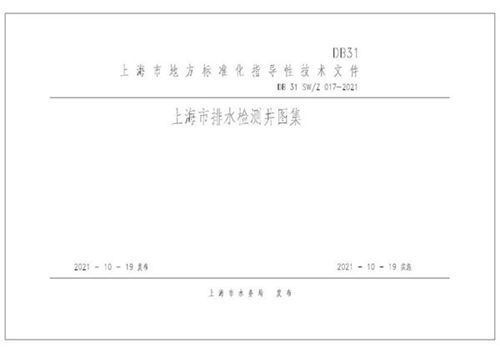 DB31 SW/Z 017-2021 上海市排水检测井图集