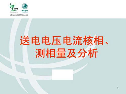 国网送电电压电流核相 测相量及分析