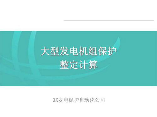 国家电网 大型发电机组保护整定计算