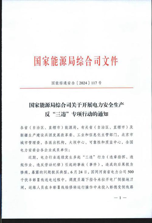 国能综通安全2024117号国家能源局综合司关于开展电⼒安全⽣产反 三违 专项⾏动的通知