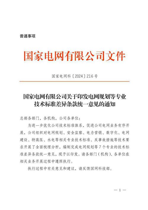 (完整版)2024版电网规划等专业技术标准差异条款统一意见(含所有附件)