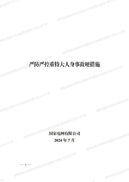 2024年7月国家电网严防严控重特大人身事故硬措施