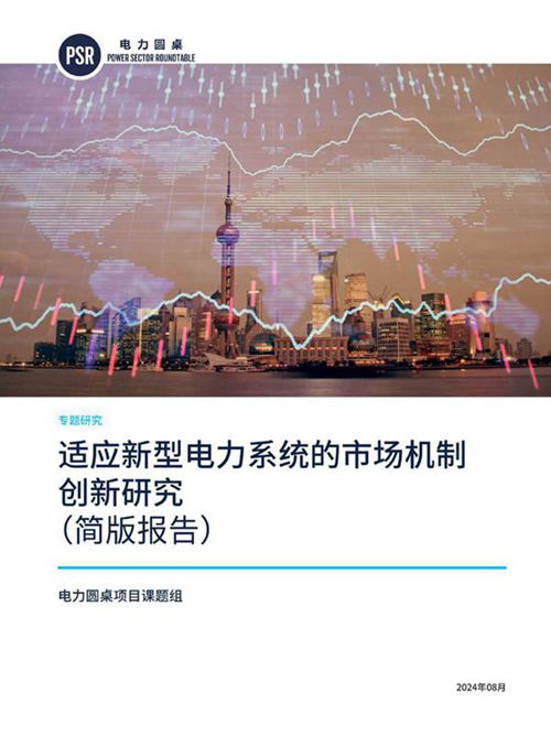 2024适应新型电力系统的市场机制创新研究