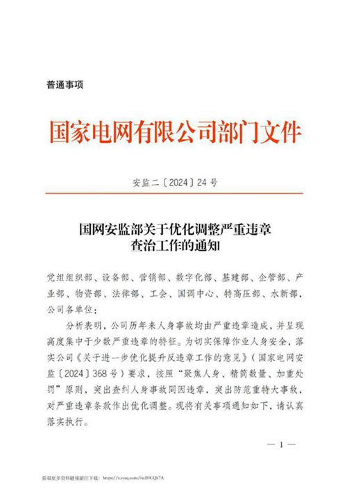 国网安监部关于优化调整严重违章查治工作的通知(安监二202424号)