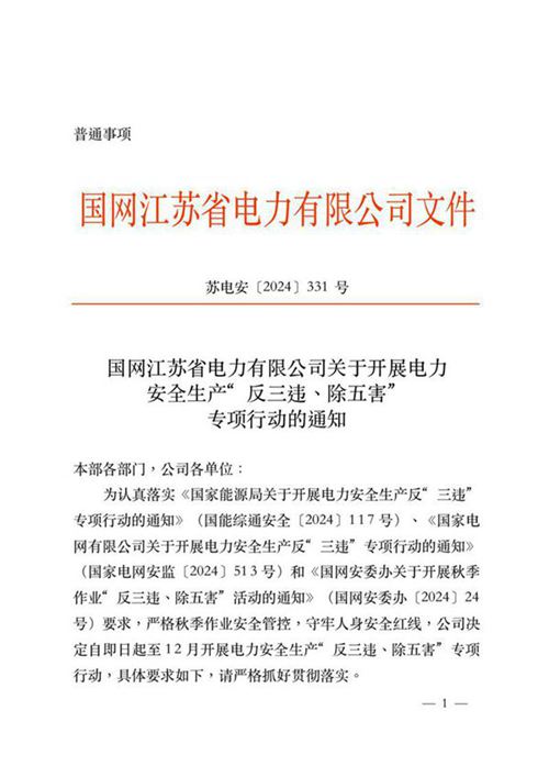 国网江苏省电力有限公司关于开展电力安全生产反三违 除五害专项行动的通知(苏电安2024331号)