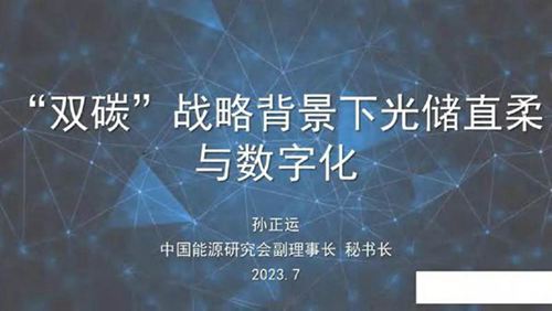 孙正运 双碳战略背景下光储直柔与数字化