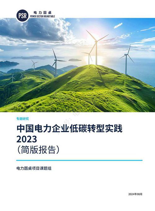 中国电力企业低碳转型实践(2023)