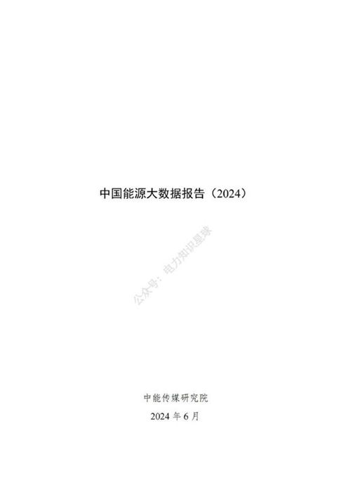 中国能源大数据报告(2024)