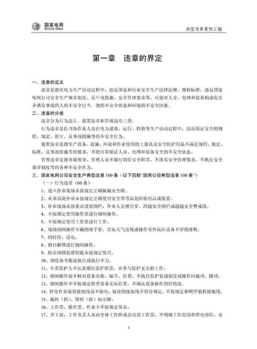 国网典型违章案例汇编