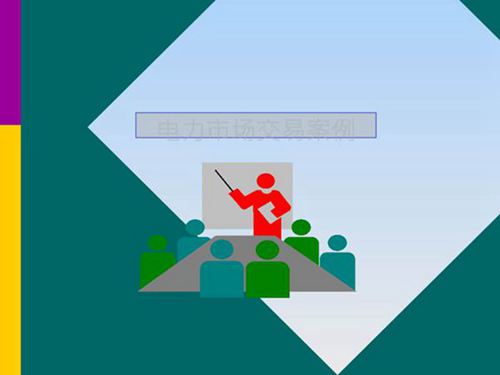 电力市场案例-电力市场交易