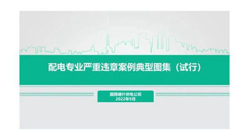 配电专业严重违章案例典型图集