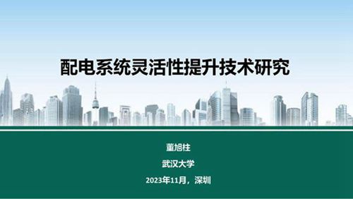 2023 基配电系统灵活性提升技术研究