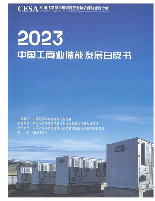 2023中国工商业储能发展白皮书(CESA)