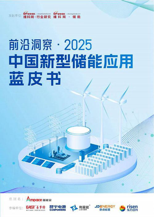 2025中国新型储能应用蓝皮书