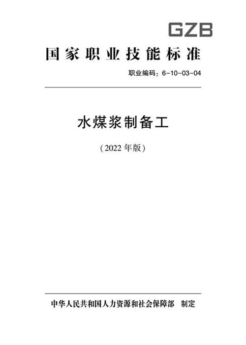 国家职业标准 GZB 6-10-03-04 水煤浆制备工 (2022)