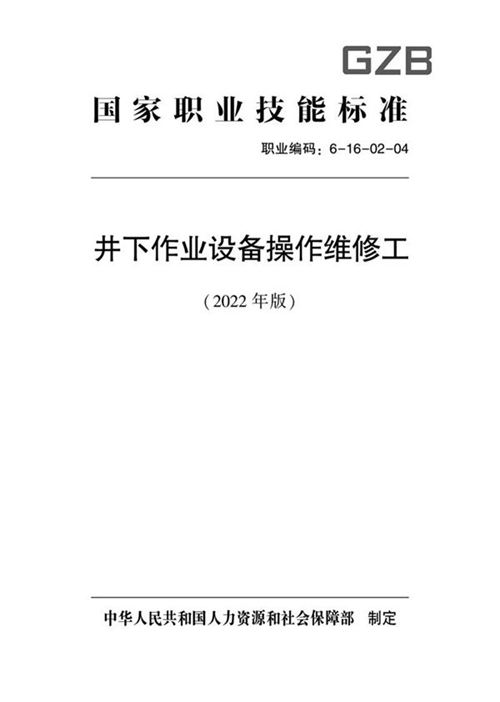 国家职业标准 GZB 6-16-02-04 井下作业设备操作维修工 (2022)