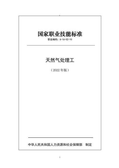 国家职业标准 GZB 6-16-02-10 天然气处理工 (2022)