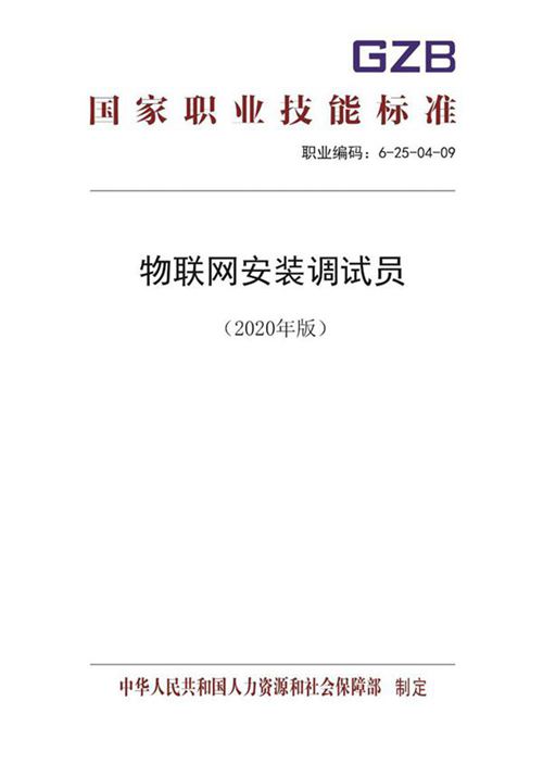 国家职业标准 GZB 6-25-04-09 物联网安装调试员 (2020)