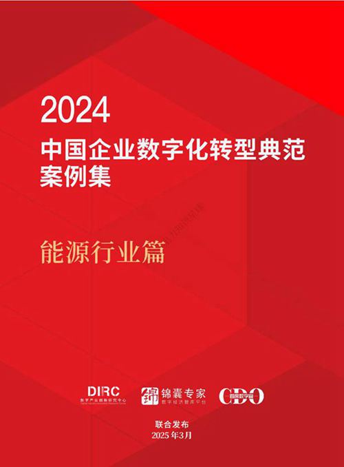 2024中国企业数字化转型典型案例集 能源行业篇