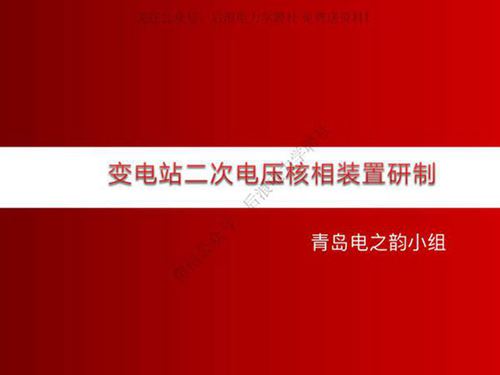 变电站二次电压核相装置新