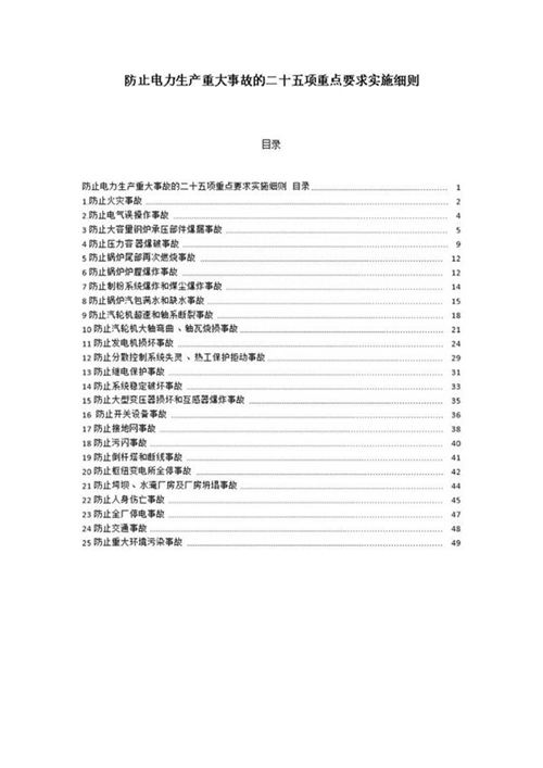 防止电力生产重大事故的二十五项重点要求实施细则