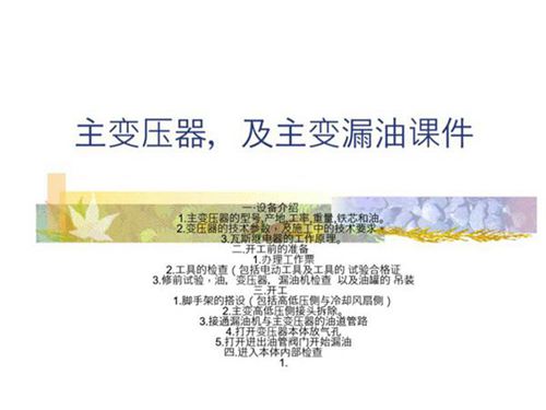 主变压器检修及漏油课件