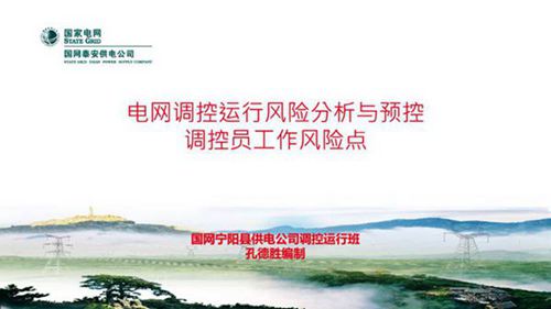 电网调控运行风险分析与预控