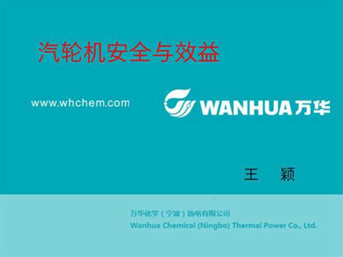 汽轮机安全与效益