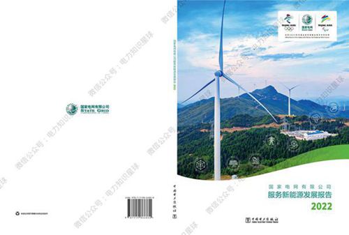 国家电网公司2022服务新能源发展报告