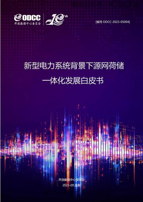 新型电力系统背景下源网荷储一体化发展白皮书