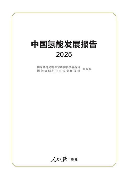 中国氢能发展报告(2025)