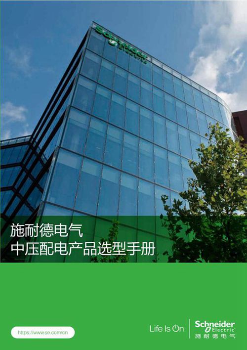 2025版施耐德电气低压配电产品选型手册