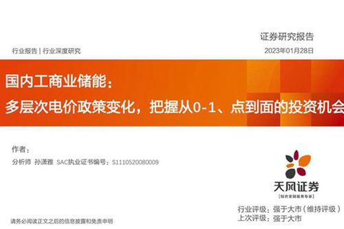 国内工商业储能行业 多层次电价政策变化,把握从0 1 点到面的投资机会-20230128-天风证券-31页
