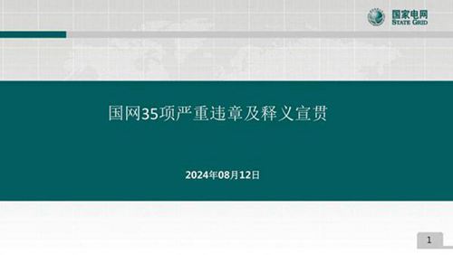 2024《国网35项严重违章及释义宣贯》