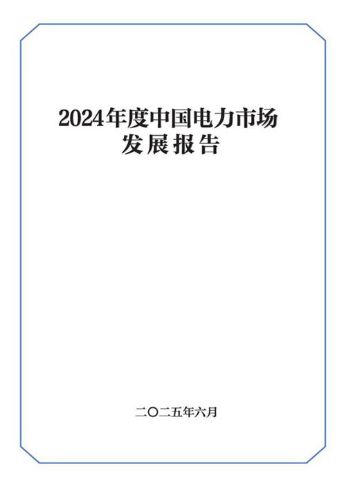2024年度中国电力市场发展报告